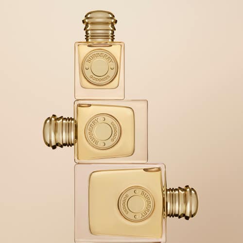 عطر بربري جوديس EDP الفاخر للنساء 100 مل، رائحة آسرة تدوم طويلاً