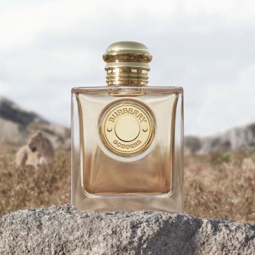 عطر بربري جوديس EDP الفاخر للنساء 100 مل، رائحة آسرة تدوم طويلاً