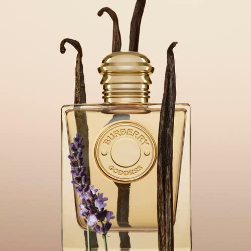 عطر بربري جوديس EDP الفاخر للنساء 100 مل، رائحة آسرة تدوم طويلاً